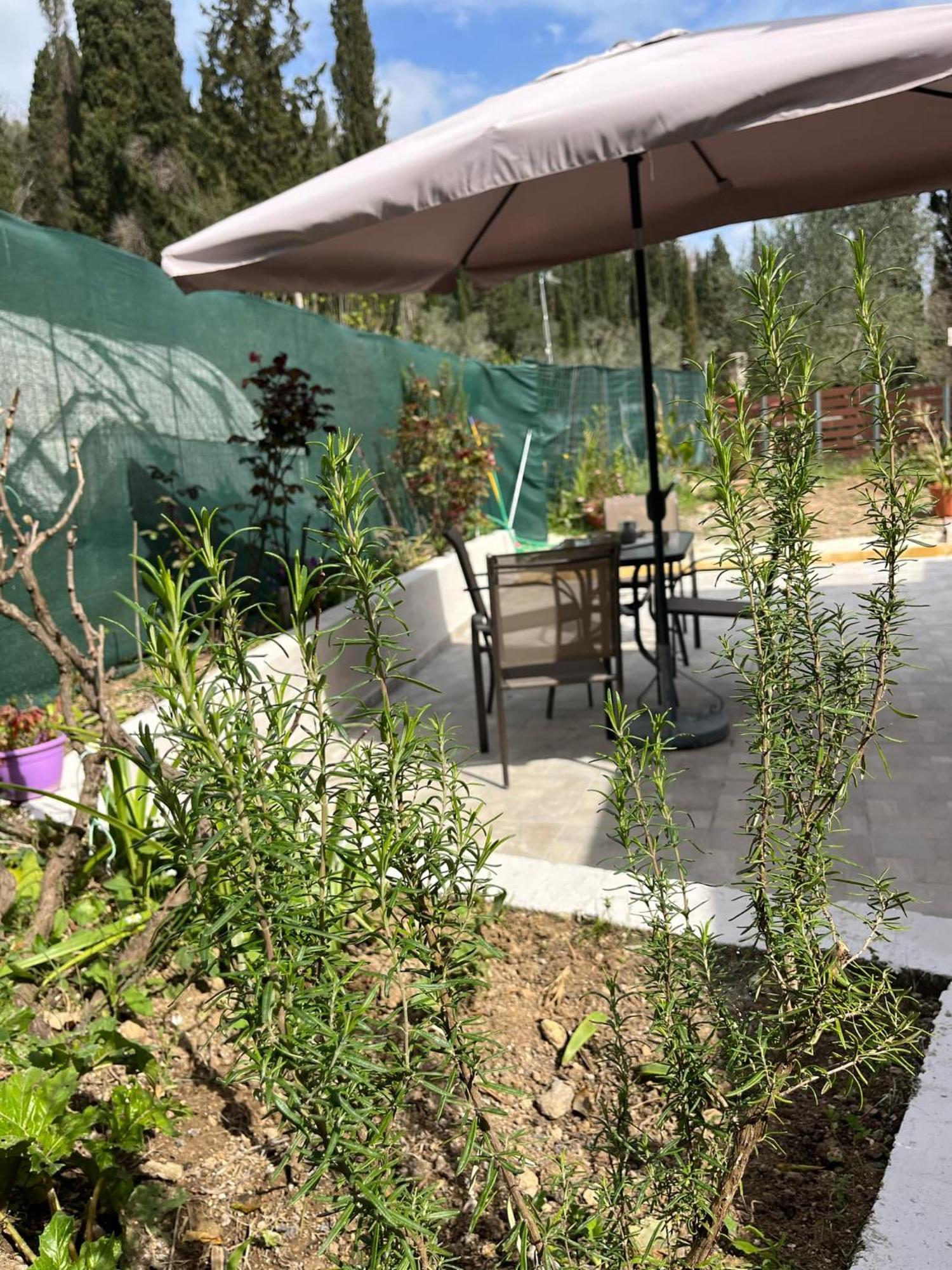 G&Z Cottage Kynopiástai Dış mekan fotoğraf
